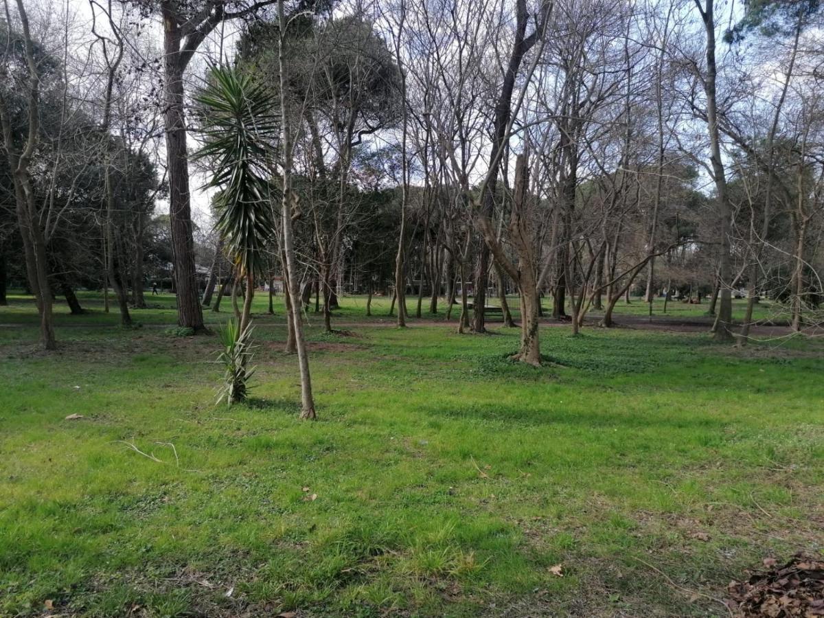 La Casina Giramondo Di Ele Viareggio Eksteriør billede